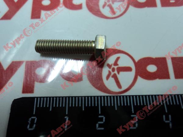 картинка Болт М 5х20 магазин Курс-ТехАвто картинка Болт М 5х20 от магазина Курс-ТехАвто